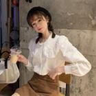 Lace Panel Collar Long-sleeve Blouse White - One Size