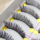 False Eyelashes (10 Pairs) As Shown In Figure - One Size