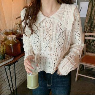 Collared Long-sleeve Pointelle Knit Cropped Top