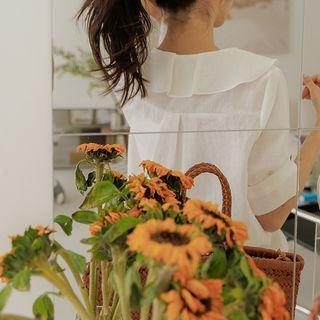 Tab-sleeve Pleated-collar Blouse
