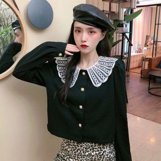 Lace Panel Collared Long-sleeve Blouse