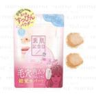 Sana - Suhada Kinenbi Fake Nude Powder Spf 20 Pa++ - 2 Types