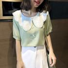Elbow-sleeve Lace-collar Top