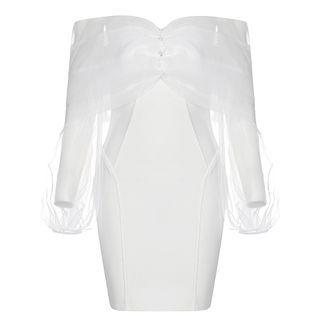 Long-sleeve Off Shoulder Mesh Mini Dress