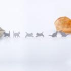 Cat Stud Earring