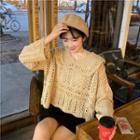 Long-sleeve Lace Sweater / Mesh Top / Skirt