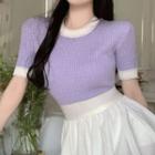 Short-sleeve Contrast Trim Knit Top Violet - One Size