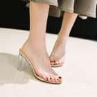 Clear Open Toe Double Straps Chunky Heels Mules
