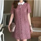 Contrast Collar Short-sleeve Lace Dress