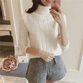 Long-sleeve Turtleneck Knit Sweater