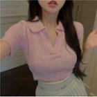 Short-sleeve Collared Knit Crop Top / Flower Embroidered Mini Pleated Skirt