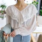 Lace V-neck Dotted Sheer Blouse