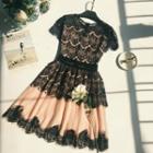 Lace Overlay Short Sleeve A-line Dress