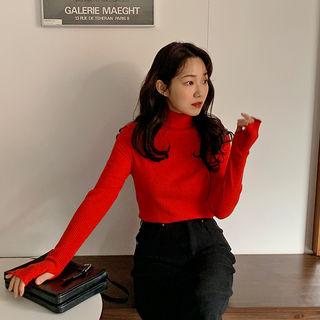 Turtleneck Thumb-hole Knit Top