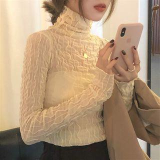 Turtle-neck Long-sleeve Slim-fit Sheer Top As Figure - One Size