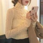 Turtle-neck Long-sleeve Slim-fit Sheer Top As Figure - One Size