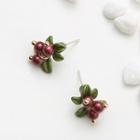 Berry & Leaf Earring