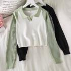 Color-block Long-sleeve Knit Top - 2 Colors