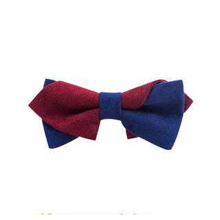Asymmetric Two-tone Bow Tie
