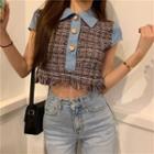 Color Block Fringed Tweed Cropped Top Blue - One Size