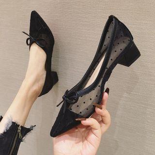 Pointy-toe Dotted Mesh Chunky Heel Pumps