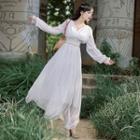 Long-sleeve Sheer Maxi Dress