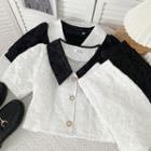 Set: Embossed Colorblock Crop Shirt + High-waist Shorts