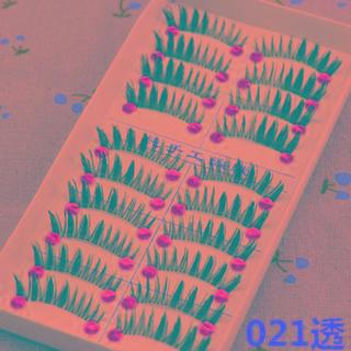 False Eyelashes (10 Pairs) - One Size (021)