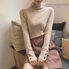 Plain Turtle-neck Skinny Knitted Top