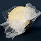 Wedding Mesh Rattan Headpiece / Gloves / Set