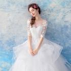 Crochet Trim Off Shoulder Elbow Sleeve Wedding Ball Gown