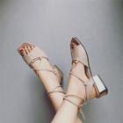 Faux-suede Lace-up Chunky-heel Sandals