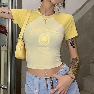 Raglan Sleeve Embroidered Crop T-shirt