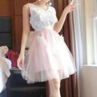 Lace Panel Sleeveless A-line Tulle Dress