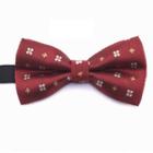 Pattern Bow Tie Tj28 - One Size