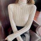 Long-sleeve Plain High-neck Sheath Sweater