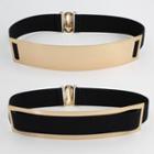 Metallic Panel Wide Belt
