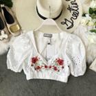 Floral Embroidered V-neck Cropped Blouse