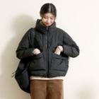 Pinstriped Stand Collar Down Jacket