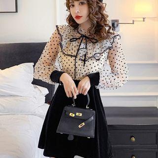 Long-sleeve Dotted Ruffle Panel A-line Mesh Dress