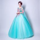 Applique Tulle Ball Gown Wedding Dress