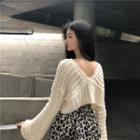 Plain V-neck Loose-fit Cropped Knit Top / Leopard Skirt