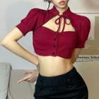 Short-sleeve Tie-neck Cutout Knit Crop Top