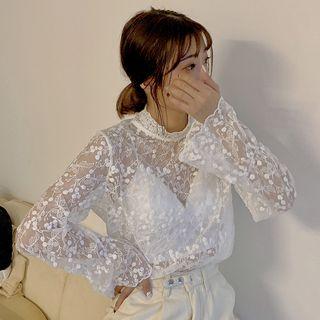 Lace Mesh Long-sleeve Top