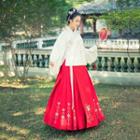 Floral Embroidered Cheongsam Top / Midi Bird Embroidered A-line Skirt