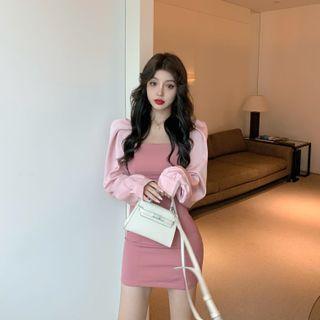Plain Long-sleeve Skinny Dress