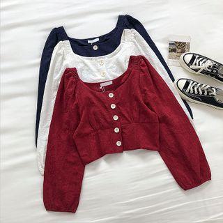 Plain Crewneck Single-breasted Long-sleeve Blouse