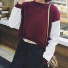 Color Panel Cropped Pullover