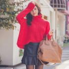 Turtle-neck Chunky Knit Top