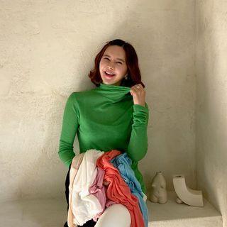 Vivid Turtle-neck Sheer Top